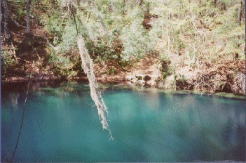 Little Dismal or Hammock Sink Hole